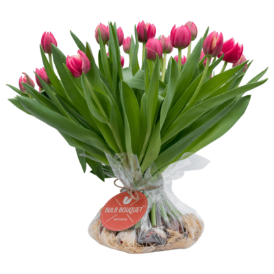 Bulb Bouquet Roze (20 stelen)