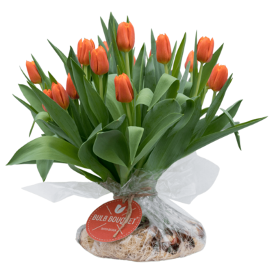 Bulb Bouquet Oranje (20 stelen)