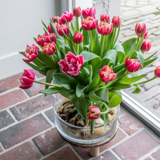 Bulb Bouquet roze