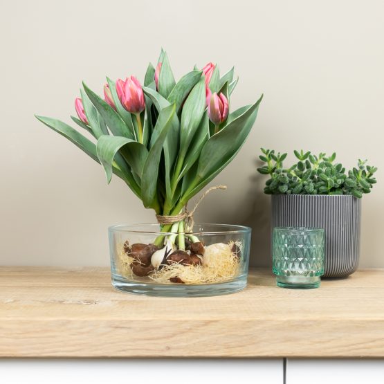 Bulb Bouquet sfeer (32)