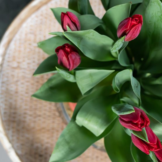 Bulb Bouquet sfeer (6)