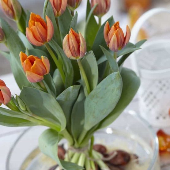 visi126671-21-819x1024